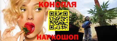apvp Жуковский