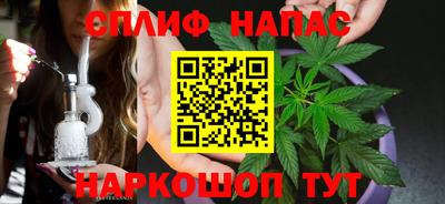 молекула духа Заволжье