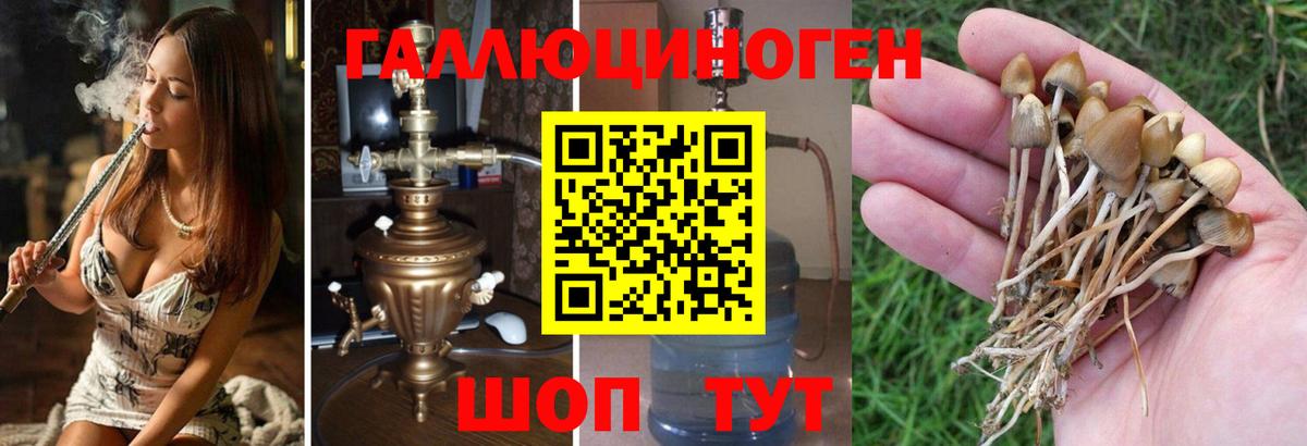 дарнет шоп  Галлюциногенные грибы мухоморы  Вход с VPN  Лыткарино 